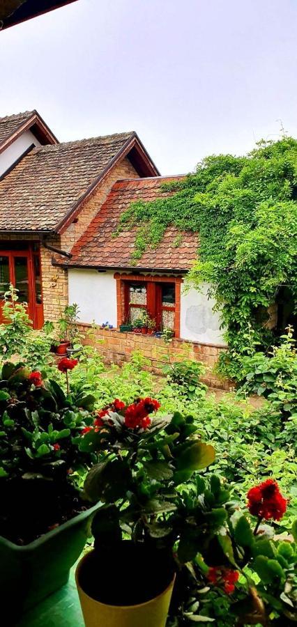 Ilkicev Kucerak Apartman Vrdnik Exterior foto