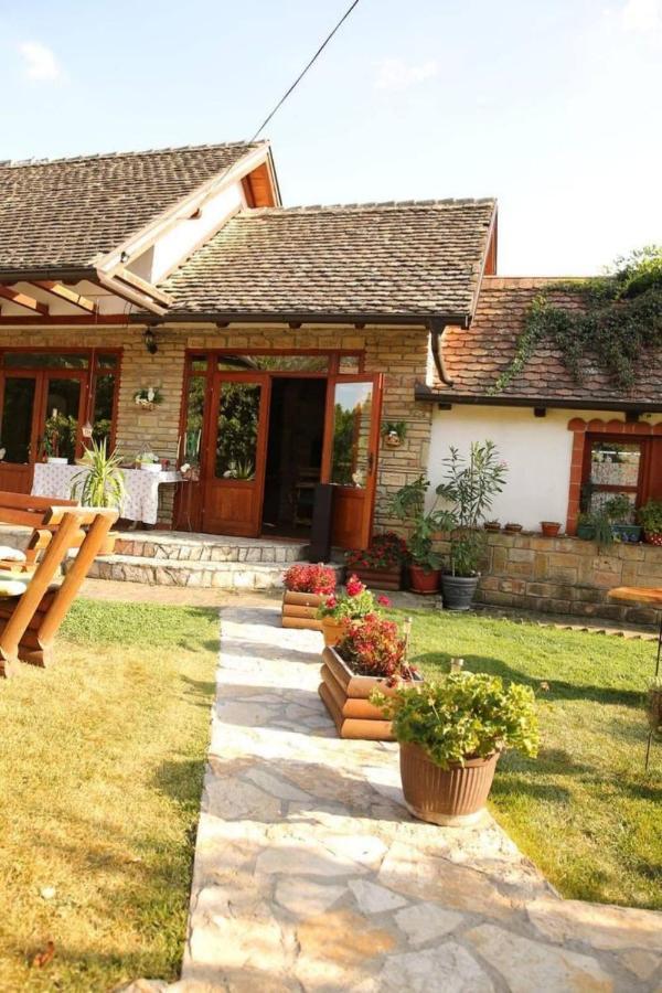 Ilkicev Kucerak Apartman Vrdnik Exterior foto